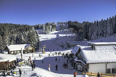 Geräumige Wohnung in Winterberg nahe Skipiste