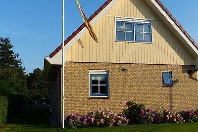 Modernes Ferienhaus in Nordholland am Meer