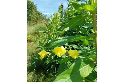 Ferienhaus mit 3 Schlafzimmer