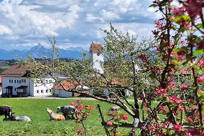 Pension Alpenblick Ferienwohnung Obadob