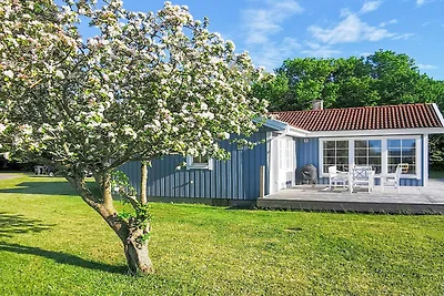 7 Personen Ferienhaus in Svendborg-By Traum
