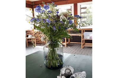 Ferienhaus in Loddin mit Schwimmbecken