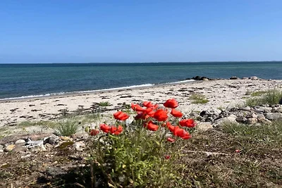 8 Personen Ferienhaus in Otterup-By Traum