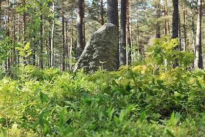 4 persone case ad INGARÖ-By Traum