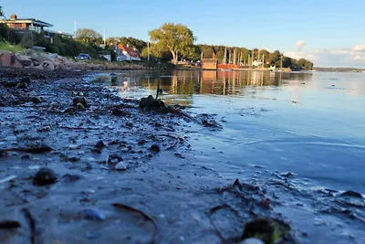 Kustplezier in Dyreborg-By Traum