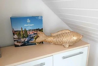 Seenest 3 Zi Wohnung