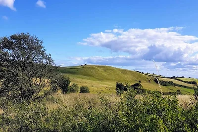 6 persoons vakantie huis in Knebel