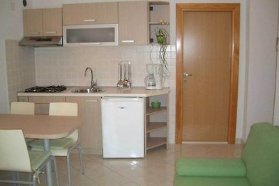 Apartments Paloc - Standard One-bedroom Apart...