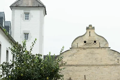 Ferienhaus in Schimmert mit Terrasse