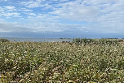 10 persone case ad Skjern-By Traum