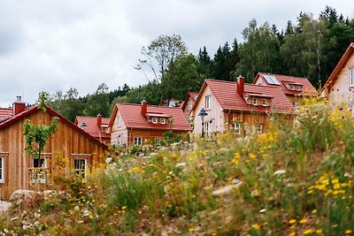 Ferienhäuser im Schierke Harzresort am Brocke...