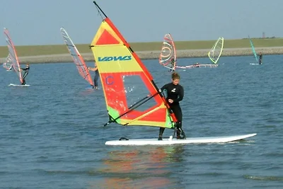 Lüttje Strandflieder