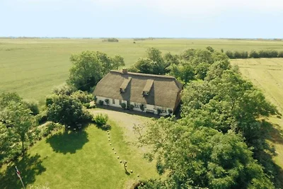 Ferienhaus mit 2 Schlafzimmer