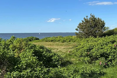 8 persoons vakantie huis in Tarm-By Traum