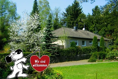 Wohnung am Diemelsee bei WillingenWinterberg