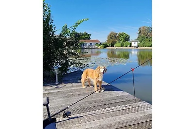 IJsselmeerStern
