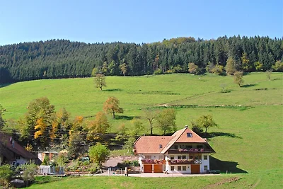 Casa vacanze a Hofstetten con terrazza
