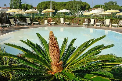 Appartamento a Vada vicino a ristoranti