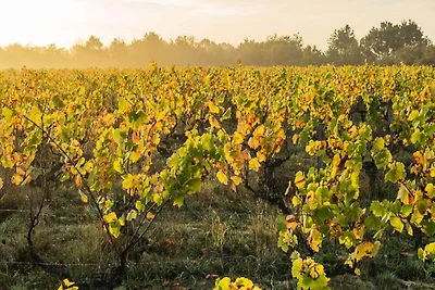 Haus in L'Aiguillon-sur-Vie nahe Strände