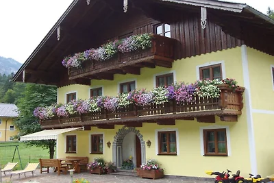 Almgut Farm || Faistenau