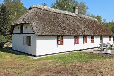 4 Personen Ferienhaus in Læsø-By Traum