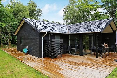 Luxuriöses Ferienhaus mit Terrasse in Zealand