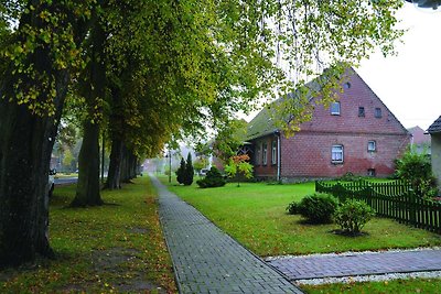 XXL-rijhuis met WiFi in Buchholz