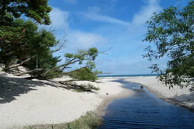 5 Sterne Ferienhaus in Dronningmølle