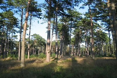 Gemutliches Refugium in Marielyst -- By Traum...