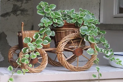 Im Weingut Frank Schmidt