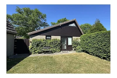 Ferienhaus in Ellemeet mit Schwimmbecken