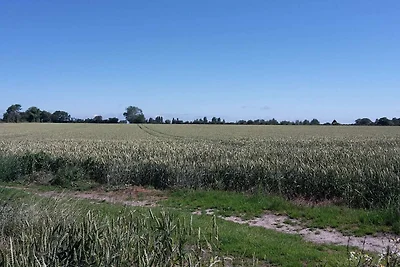 10 Personen Ferienhaus in Marstal-By Traum