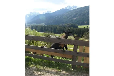 Appartamento per vacanze con 2 camere da...