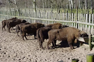 Domek letniskowy Urlop wypoczynkowy Jabel