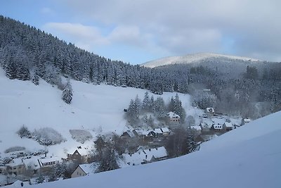 Appartamento per vacanze nei monti Harz