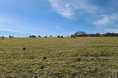 4 Personen Ferienhaus in Martofte-By Traum