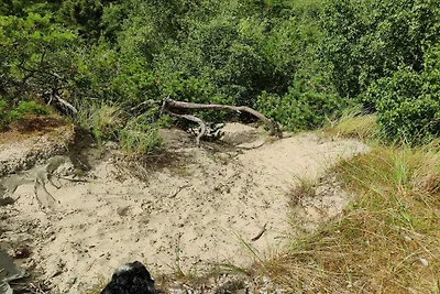 5 Personen Ferienhaus in Fanø