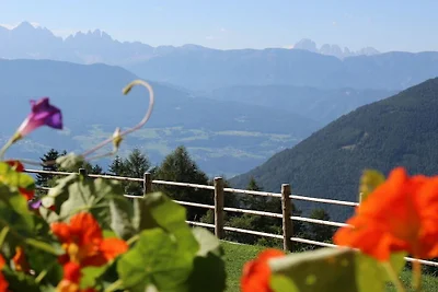 Chalet naturale Oberlechner