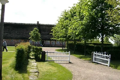 Diekkier Komfortable Ferienresidenz