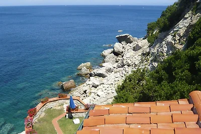 Wohnung in Rio nell Elba mit Garten