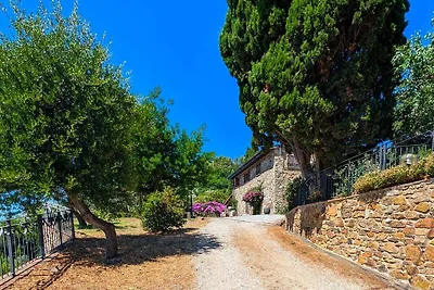 Villa in Suvereto mit Schwimmbecken