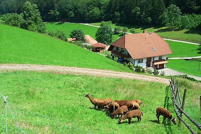 Schwarzwald-Bauernhaus in reizvoller Lage