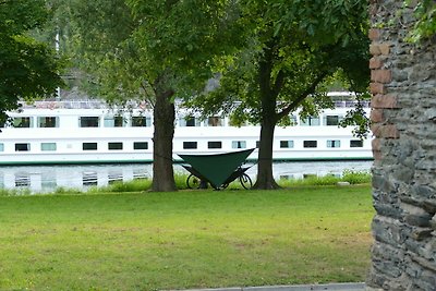 Hübsche Wohnung in Trittenheim zwischen Weinr...