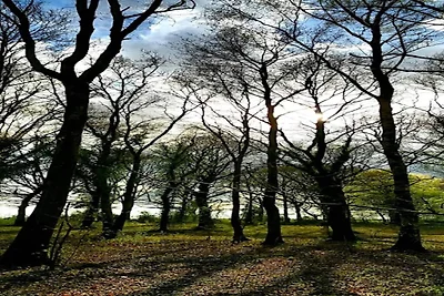 5 persone case ad Kolind-By Traum