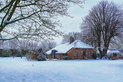 Vakantiehuis met 2 slaapkamers