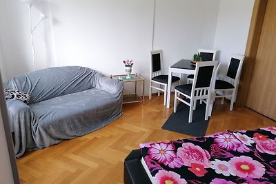 Wohnung Nähe Skigebietes Tannenbergsthal