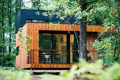 Eco vakantiehuis in Viroinval in de natuur
