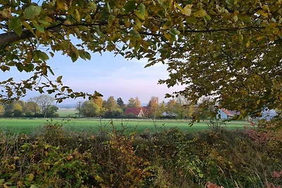 Ferienwohnung  "To Hus"