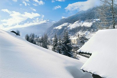 Appartement in Neustift met een skiberging