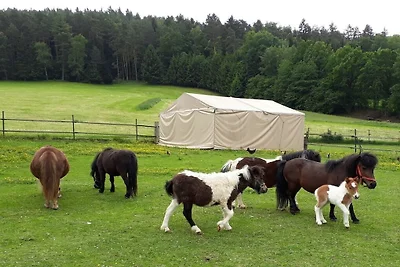 Ferienhaus in Miltach mit Schwimmbecken